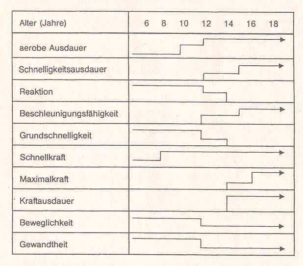 lernphasen